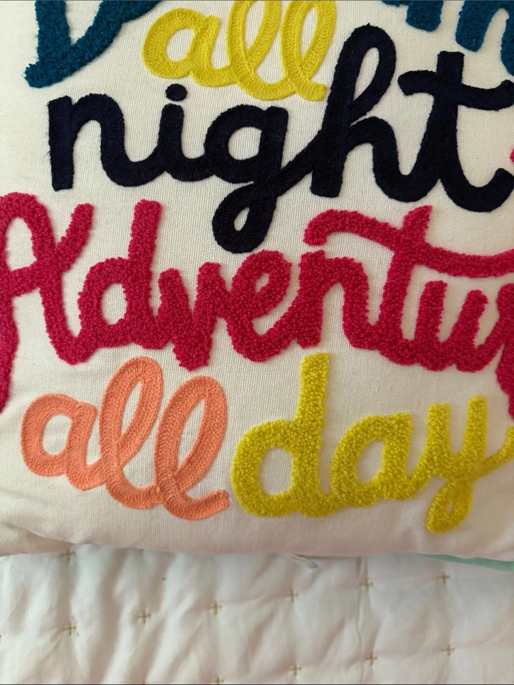 Pillowfort Embroidered 'Dream all night Adventure all day' Throw Pillow - Multi